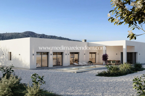 Villa - New build - Pinoso - Campo