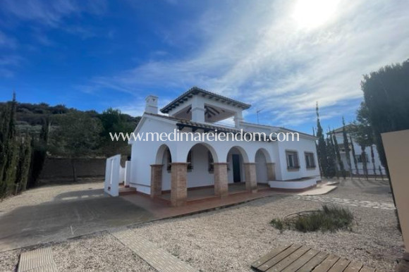Villa - Nouvelle Construction - Fuente Alamo de Murcia - M-54791