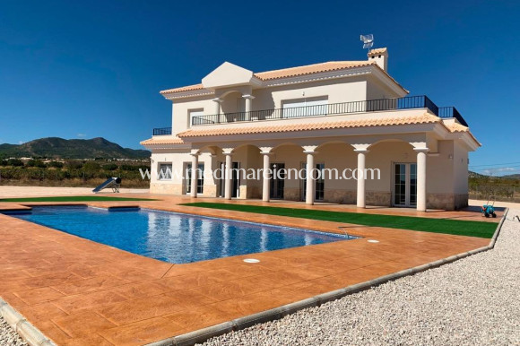 Villa - Nouvelle Construction - Pinoso - M-73420