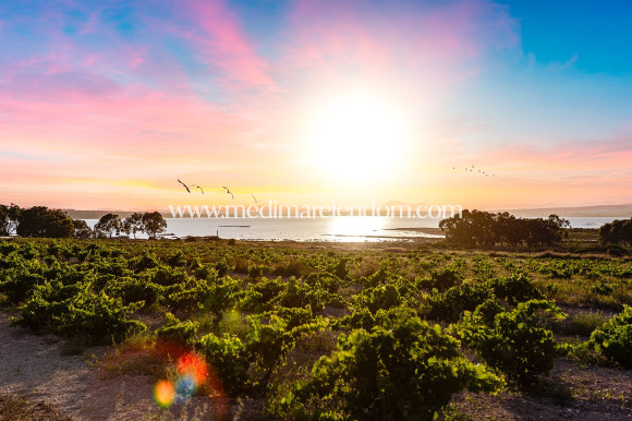 Вторичный рынок - Апартаменты - Ciudad Quesada