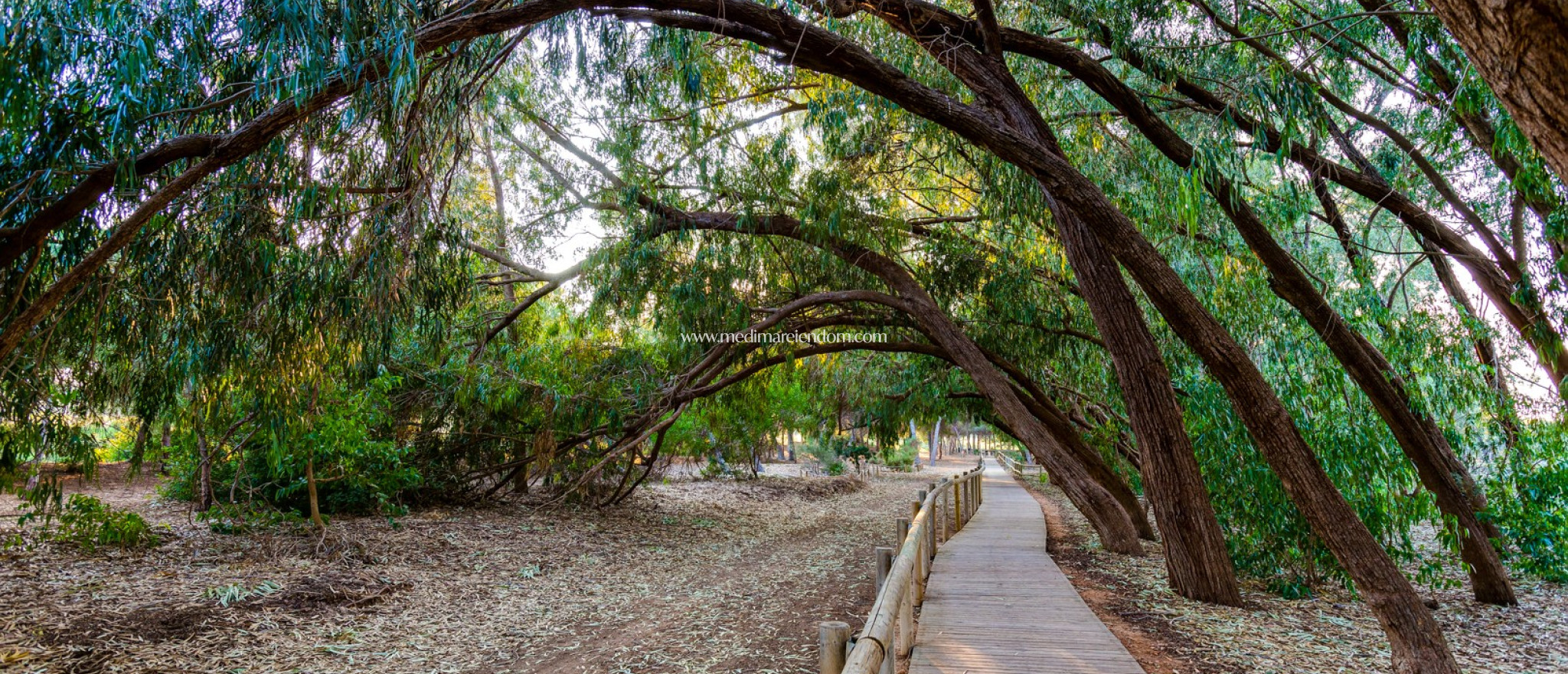 Вторичный рынок - Апартаменты - Ciudad Quesada