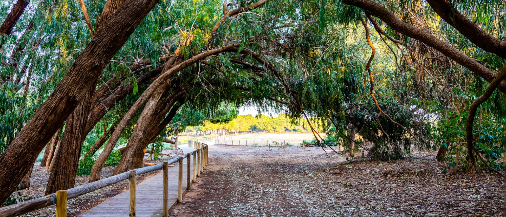 Вторичный рынок - Апартаменты - Ciudad Quesada