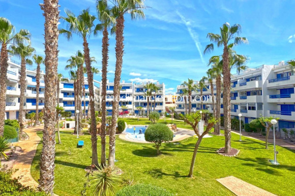 Вторичный рынок - Апартаменты - Orihuela Costa - Playa Flamenca