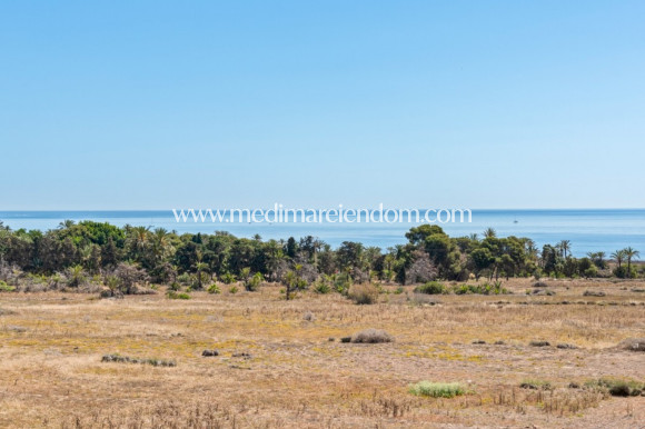 Вторичный рынок - Апартаменты - Orihuela Costa - Punta Prima