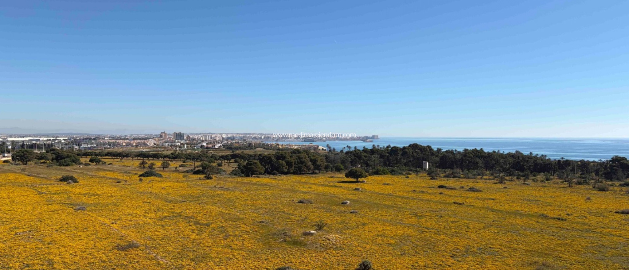 Вторичный рынок - Апартаменты - Orihuela Costa - Punta Prima