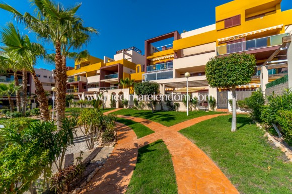 Вторичный рынок - Апартаменты - Playa Flamenca