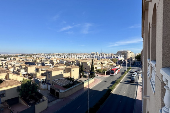 Вторичный рынок - Апартаменты - Torrevieja - El Molino