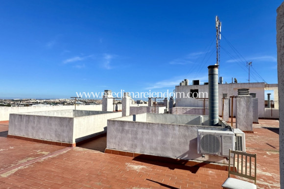 Вторичный рынок - Апартаменты - Torrevieja - El Molino