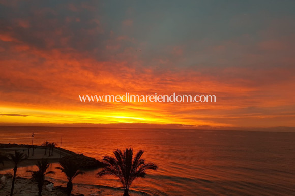 Вторичный рынок - Апартаменты - Torrevieja - Playa Del Cura