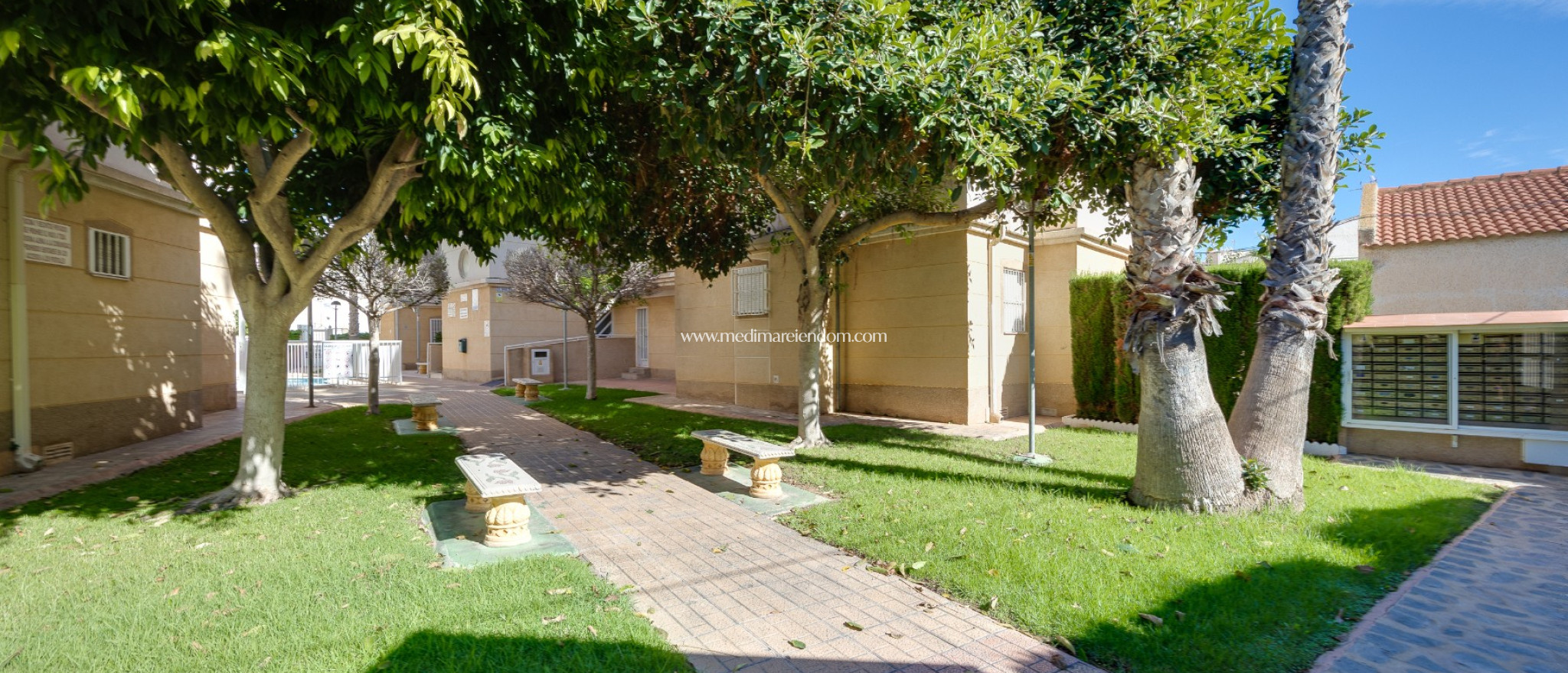 Вторичный рынок - Апартаменты - Torrevieja - Playa Del Cura