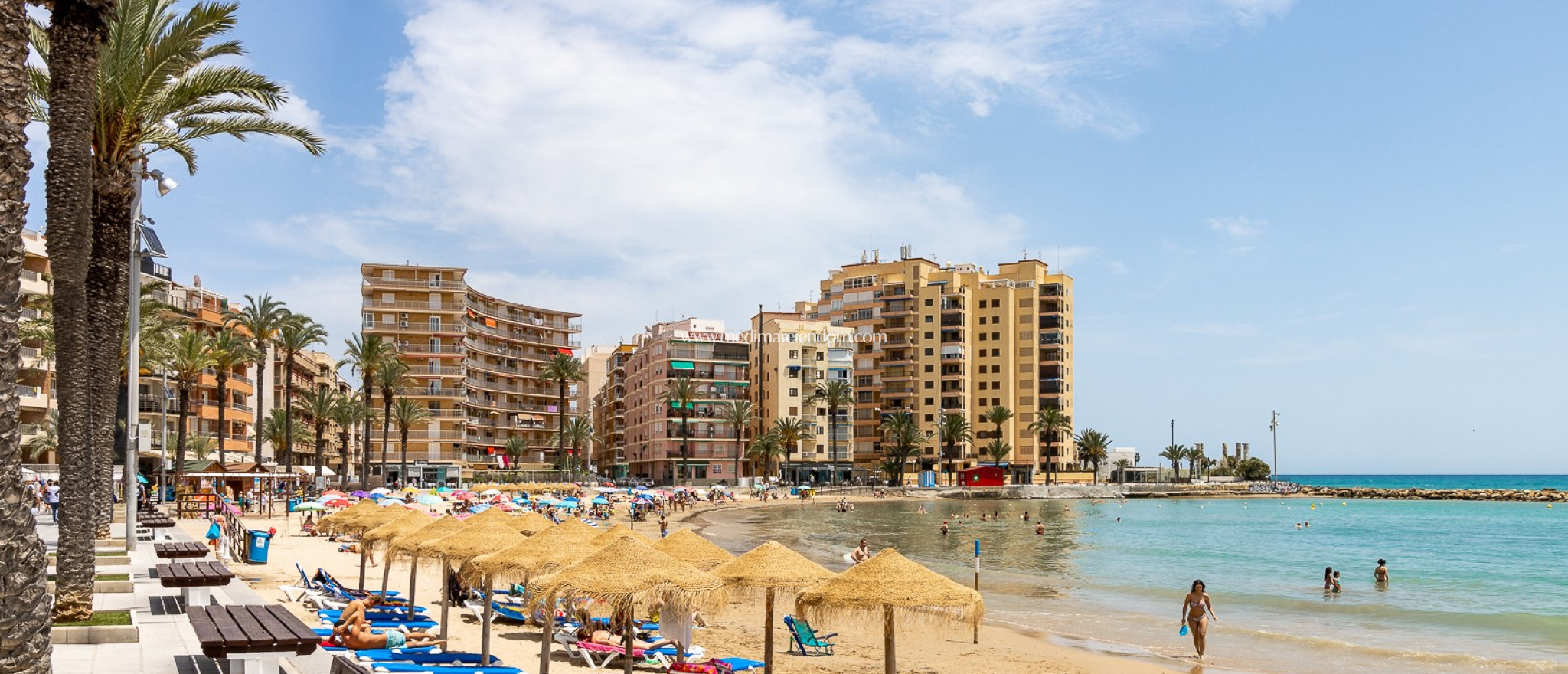 Вторичный рынок - Апартаменты - Torrevieja - Playa Del Cura