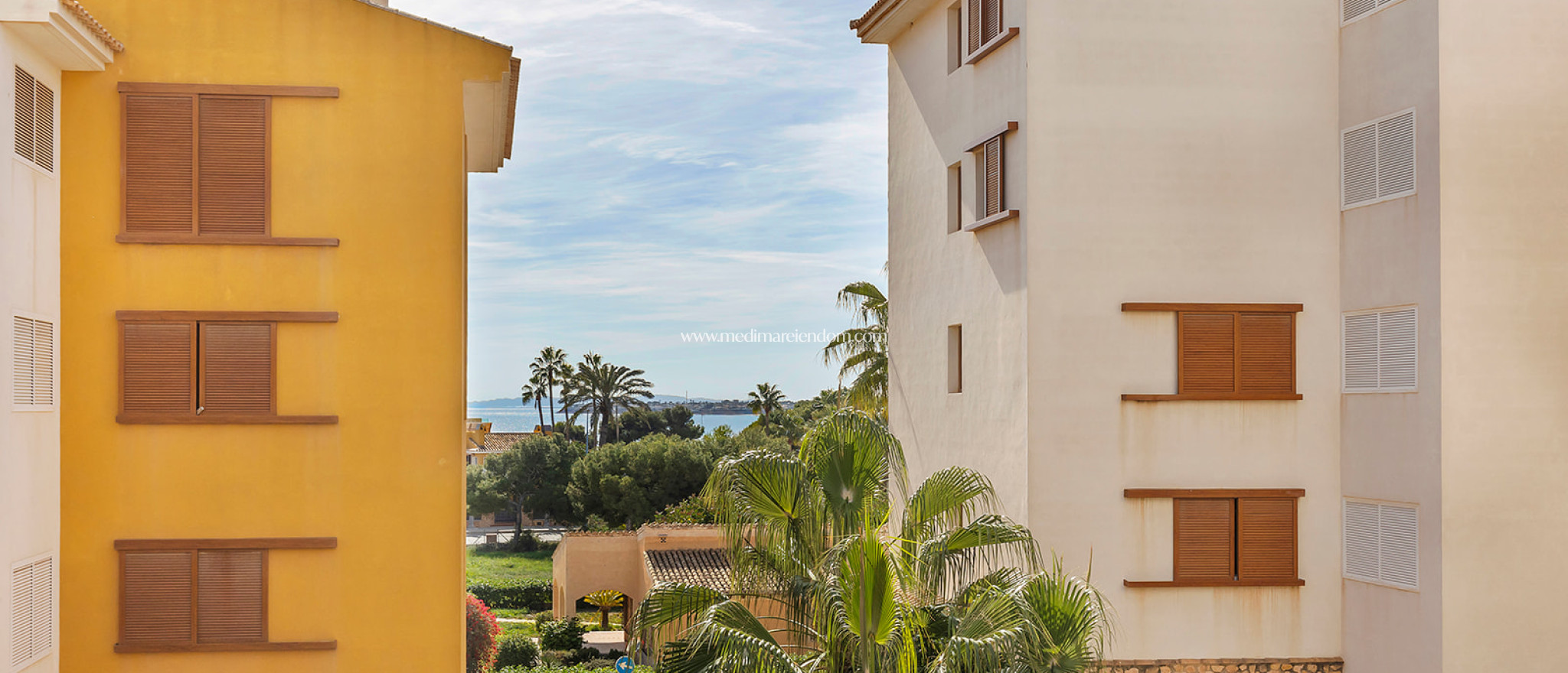 Вторичный рынок - Апартаменты - Torrevieja - Punta Prima