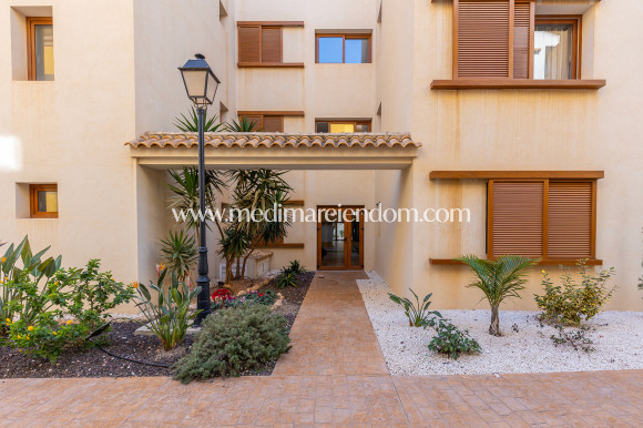 Вторичный рынок - Апартаменты - Torrevieja - Punta Prima