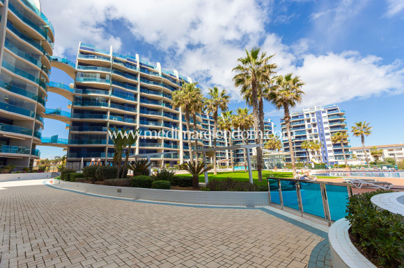 Вторичный рынок - Апартаменты - Torrevieja - Punta Prima