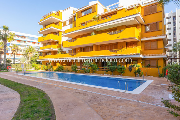 Вторичный рынок - Апартаменты - Torrevieja - Punta Prima