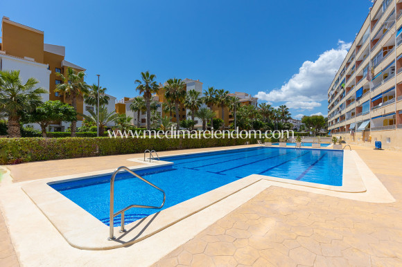 Вторичный рынок - Апартаменты - Torrevieja - Rocio del Mar