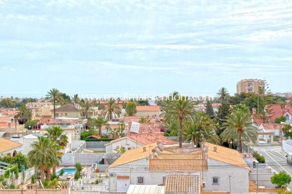 Вторичный рынок - Апартаменты - Torrevieja