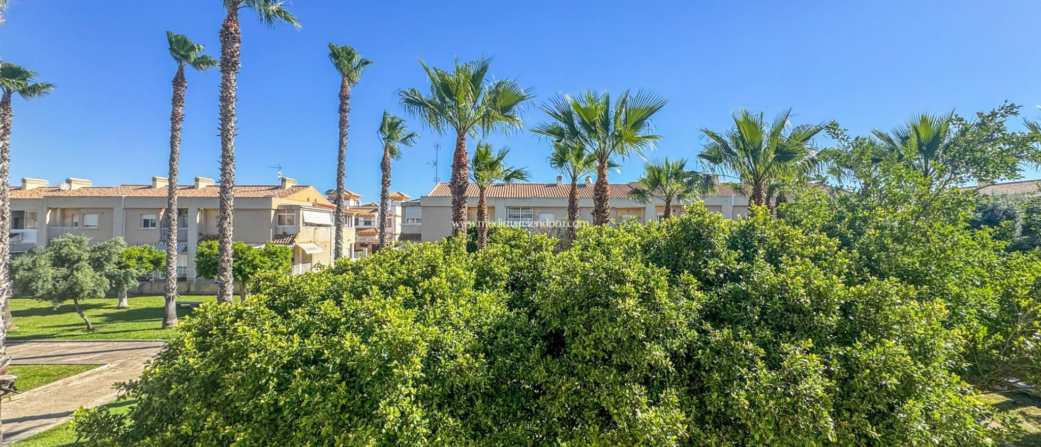 Вторичный рынок - Дуплекс - Torrevieja - Nueva Torrevieja - Aguas Nuevas