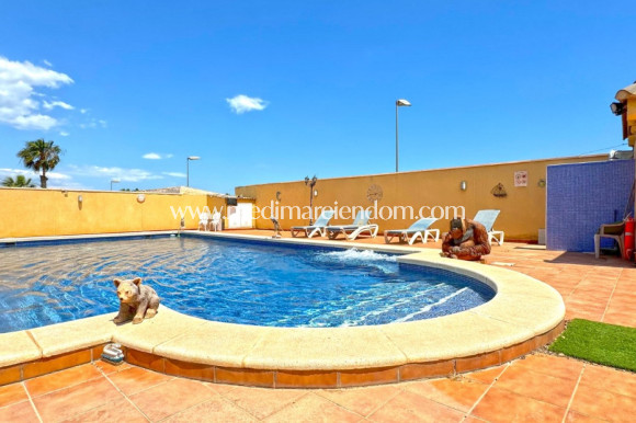 Вторичный рынок - Отдельно стоящая вилла - Torrevieja - Los Balcones - Los Altos del Edén