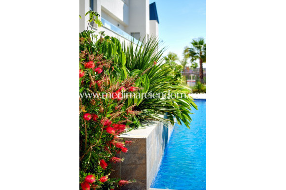 Вторичный рынок - Penthouse - Torrevieja - La Veleta