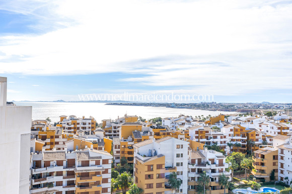 Вторичный рынок - Penthouse - Torrevieja - Punta Prima