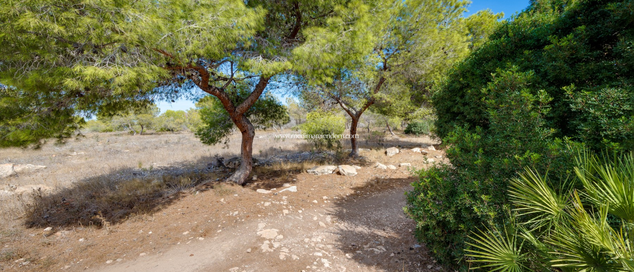 Вторичный рынок - Виллы - Torrevieja - El Chaparal