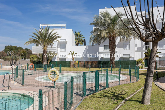 New build - Apartment - Vera - Vera Playa