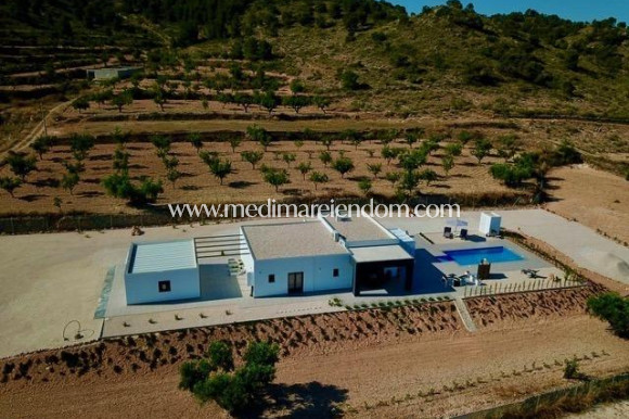 New build - Villa - Abanilla - Cañada de la Leña