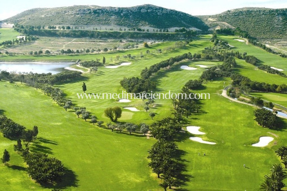 Nowo zbudowane - Willa - BAOS Y MENDIGO - Altaona Golf And Country Village