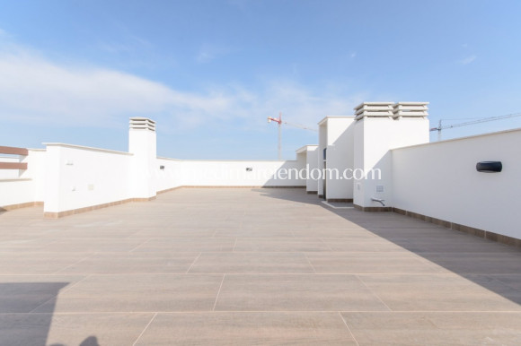 Nieuw gebouw - Bungalow - Torrevieja - Los Balcones