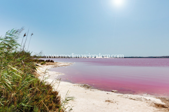 Вторичный рынок - Таунхаусы - Torrevieja - Torretas