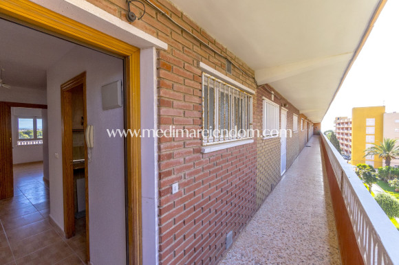 Tweedehands - Appartement - Punta Prima