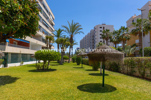 Revente - Appartement - Torrevieja - Rocio del Mar