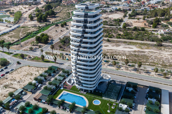 Obra Nueva - Apartamento - Calpe