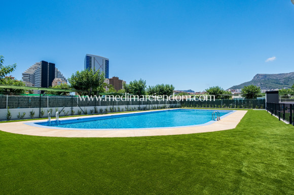 Obra Nueva - Apartamento - Calpe