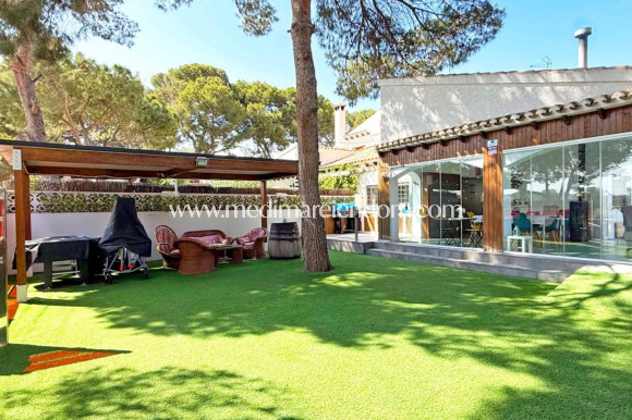 Verkauf - Freistehende Villa - Orihuela Costa - Punta Prima