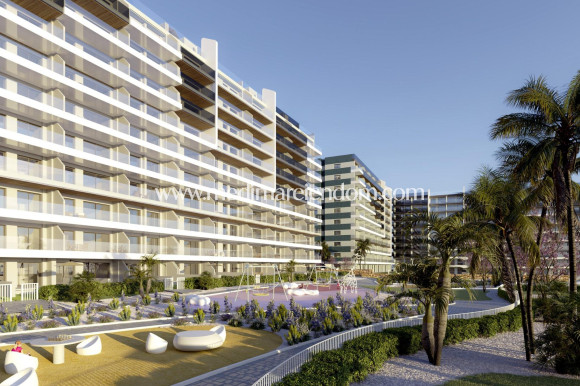 Obra Nueva - Apartamento - Torrevieja - Punta Prima