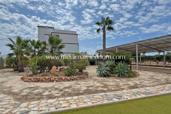 Reventa - Apartamento - Orihuela Costa - Punta Prima