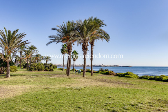 Odsprzedaż - Apartament - Torrevieja