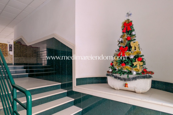 Endursala - Íbúð - Torrevieja