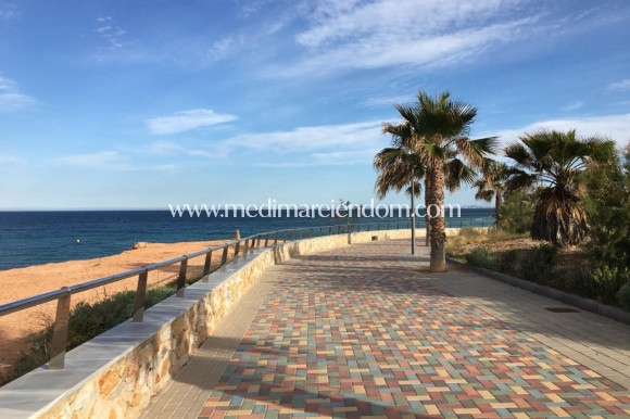 Nieuw gebouw - Villa - Pilar de la Horadada - Las Higuericas