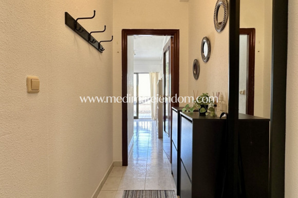 Endursala - Íbúð - Torrevieja