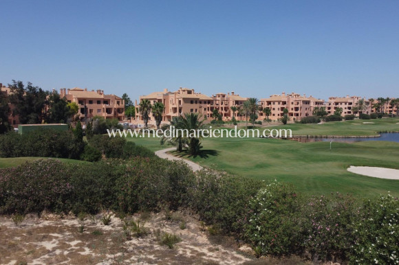 Nouvelle Construction - Penthouse - Los Alcazares - La Serena Golf