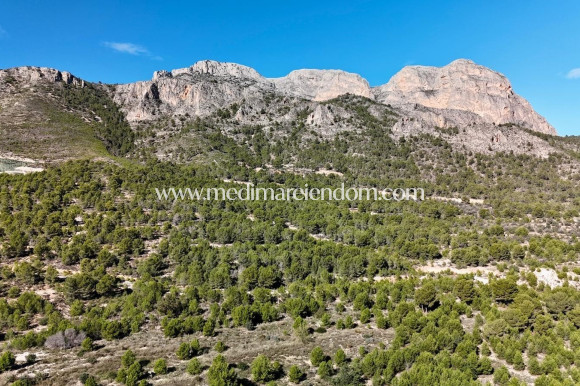 Nouvelle Construction - Villa - Polop - Alberca