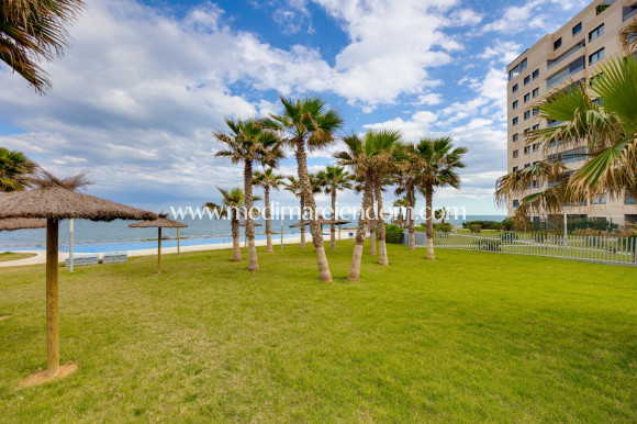 Sala - Penthouse - Punta Prima