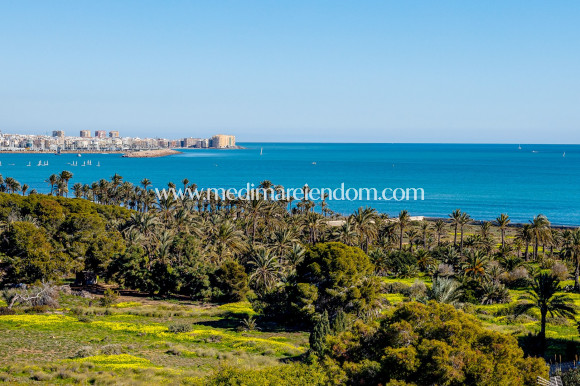 Sala - Penthouse - Punta Prima