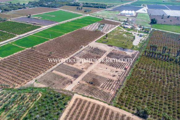 Brukt bolig - Finca - Albatera