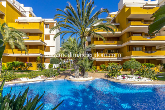 Odsprzedaż - Apartament - Torrevieja - Punta Prima