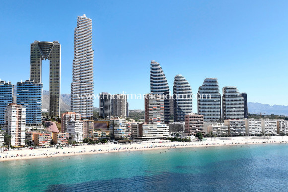 Nybygg - Leilighet - Benidorm - Playa Poniente