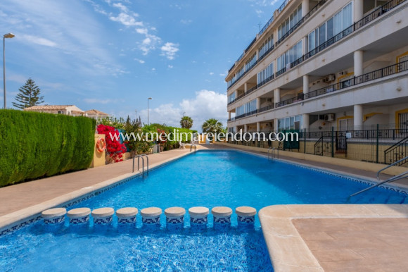Brukt bolig - Leilighet - Orihuela Costa - La Florida